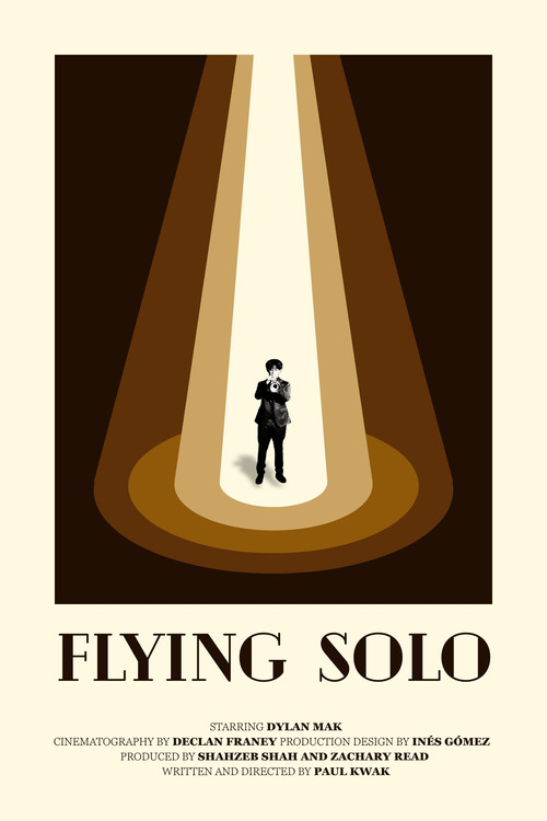Flying Solo постер
