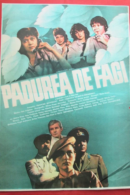Pădurea de fagi постер