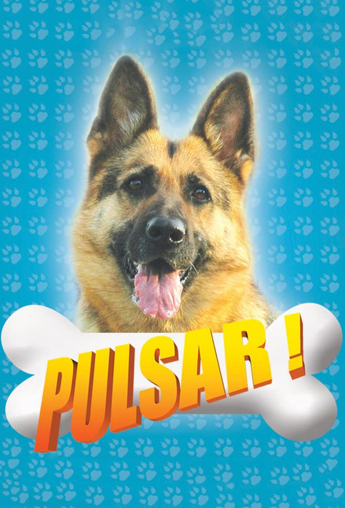 Pulsar постер