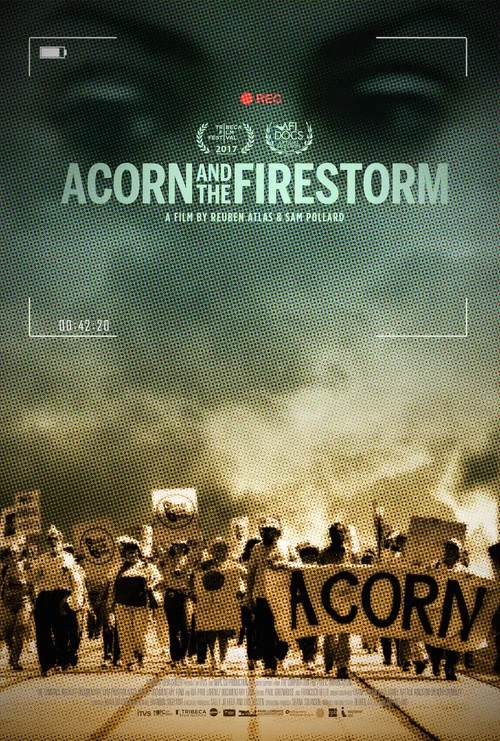 Acorn and the Firestorm постер
