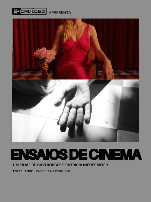 Ensaios de Cinema постер