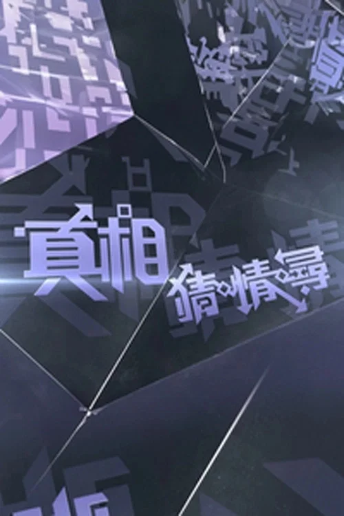 真相猜•情•尋 постер
