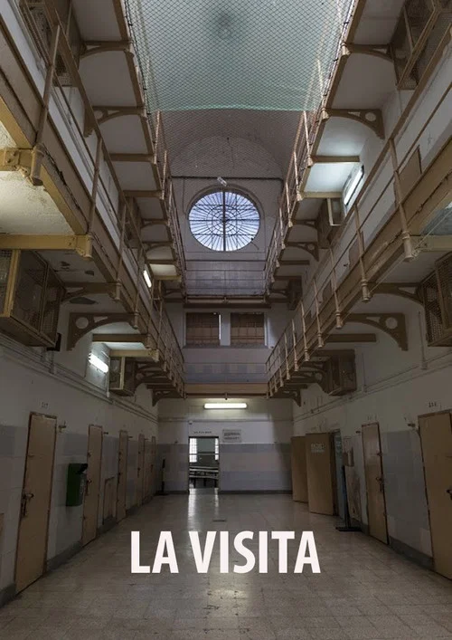 La Visita постер