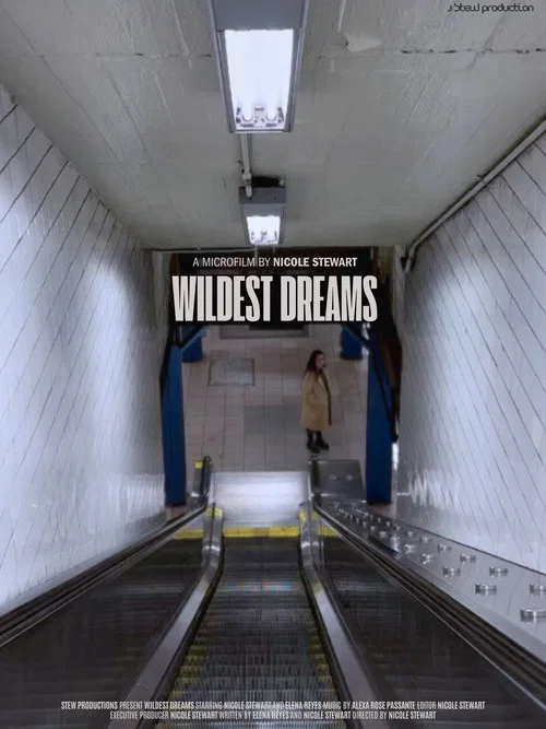 Wildest Dreams постер