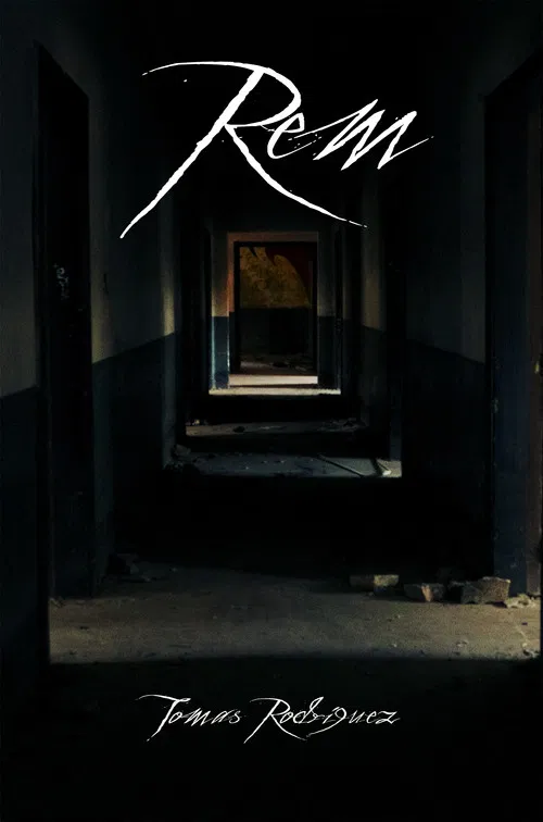 REM постер