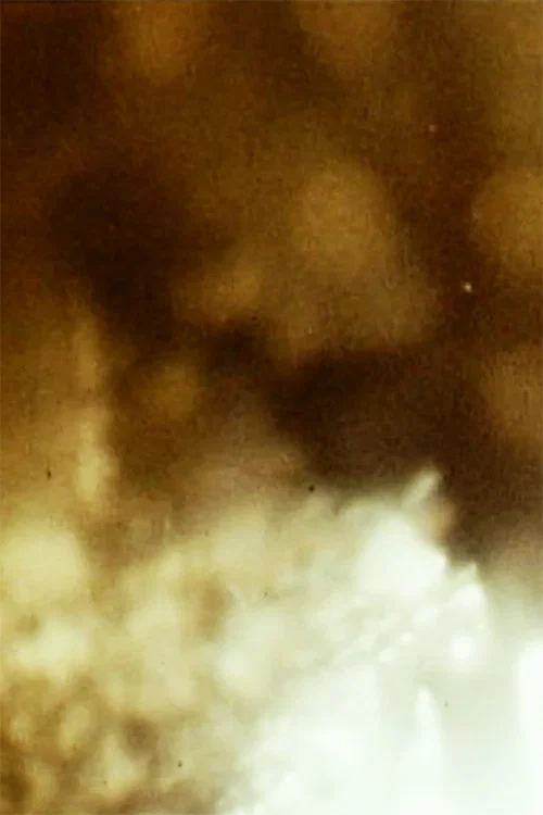 Closet Film постер
