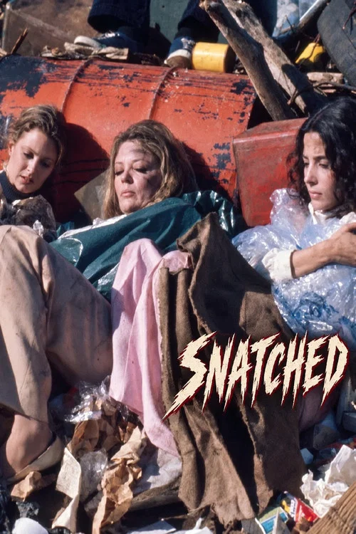 Snatched постер