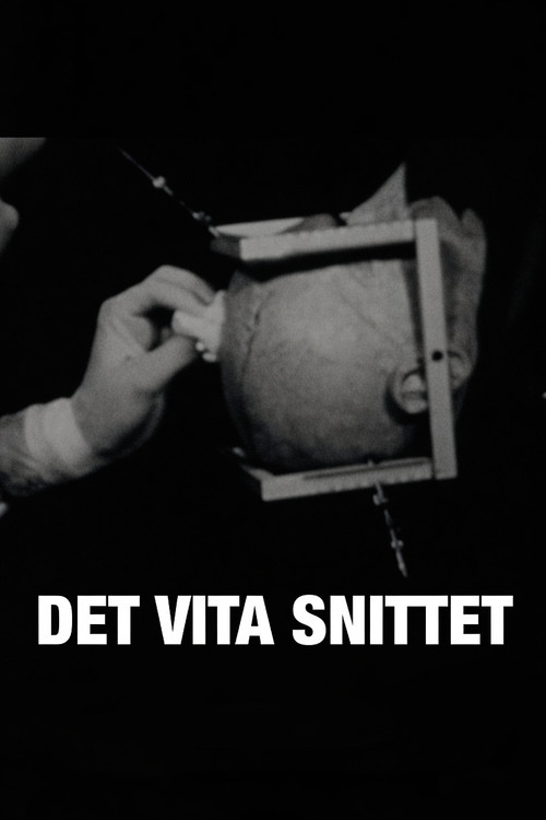 Det vita snittet постер