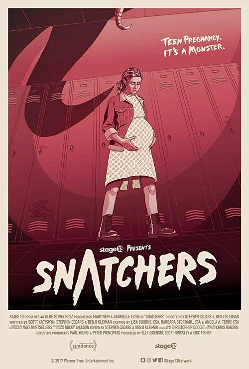 Snatchers постер