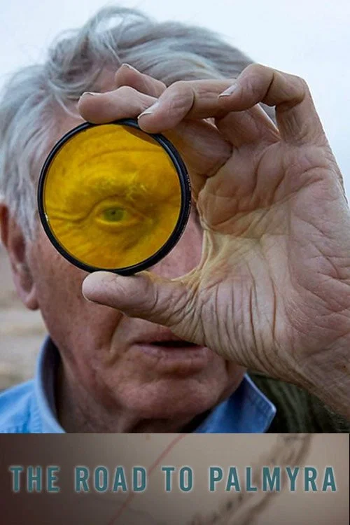 The Road to Palmyra постер