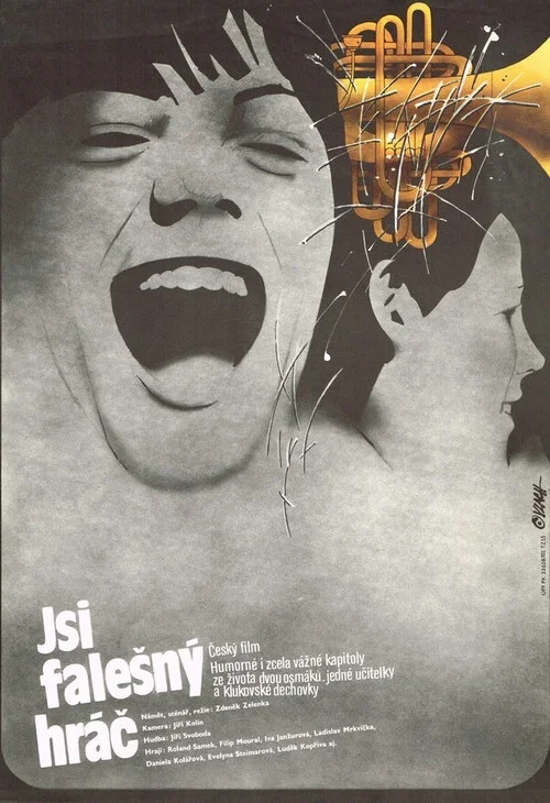 Jsi falešný hráč постер