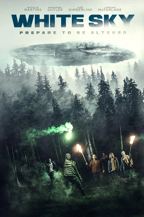 White Sky постер