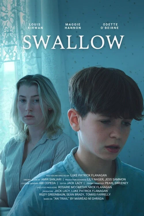 Swallow постер