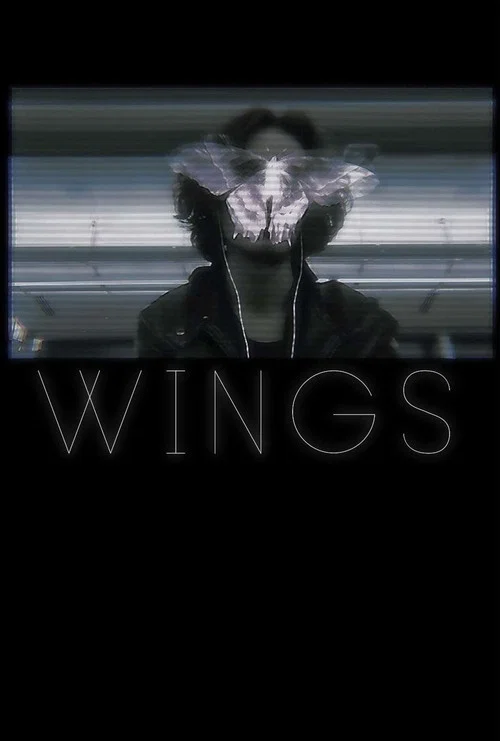 Wings постер