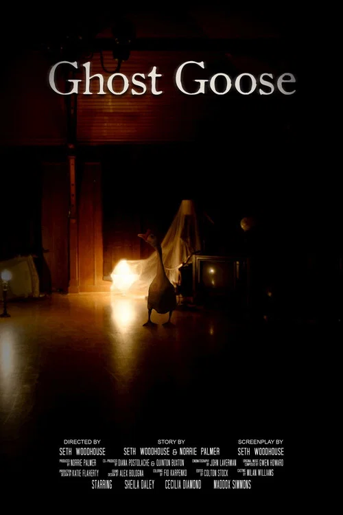 Ghost Goose постер