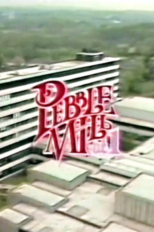 Pebble Mill at One постер