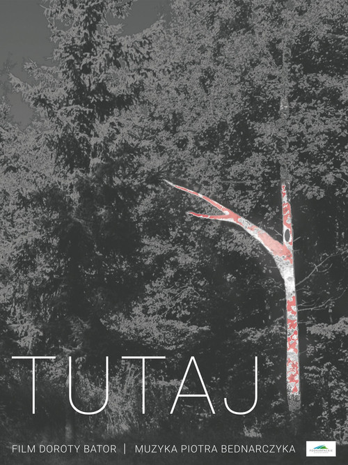 Tutaj постер