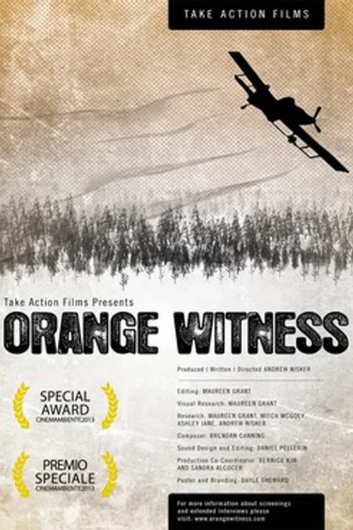 Orange Witness постер