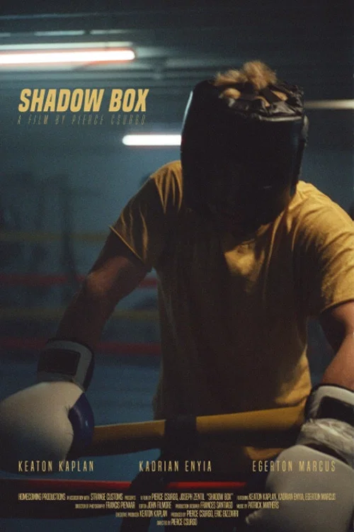 Shadow Box постер