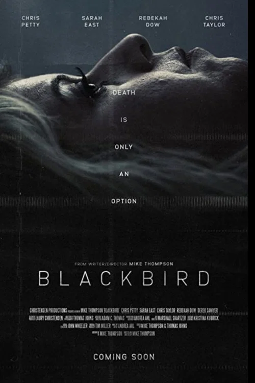 Blackbird постер