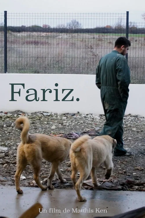 Fariz. постер