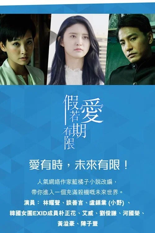 假若愛有期限 постер
