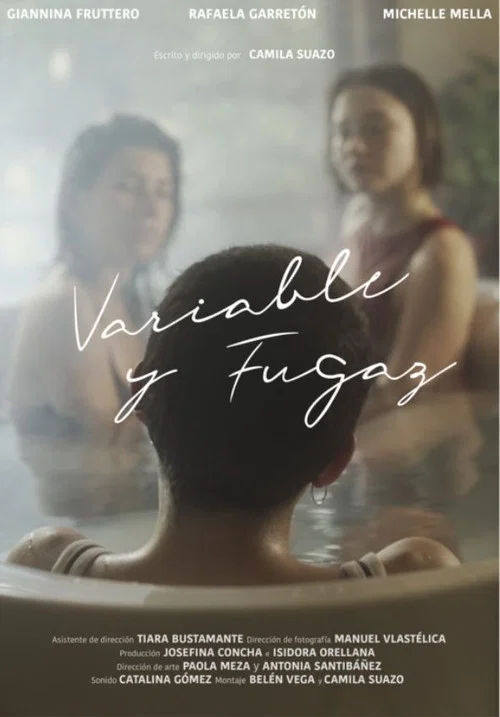 Variable y  fugaz постер