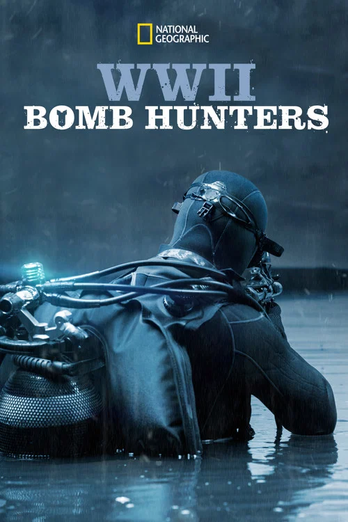 WWII Bomb Hunters постер