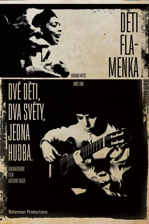 Děti flamenka постер