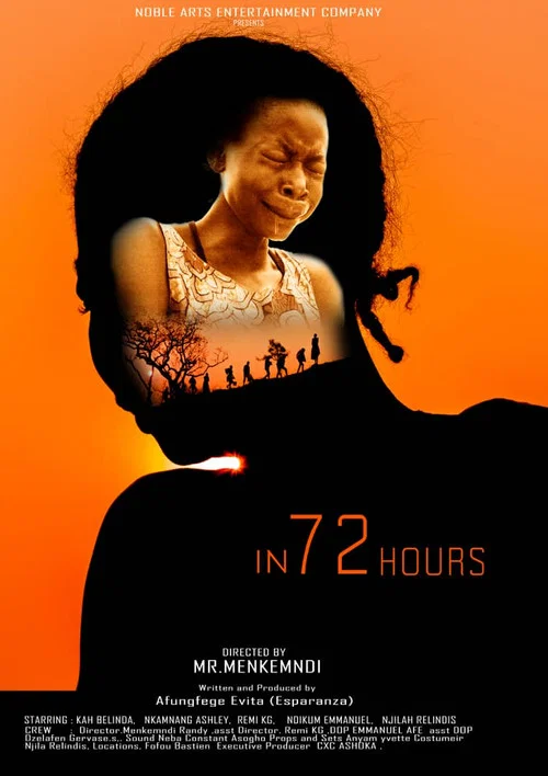 In 72 hours постер