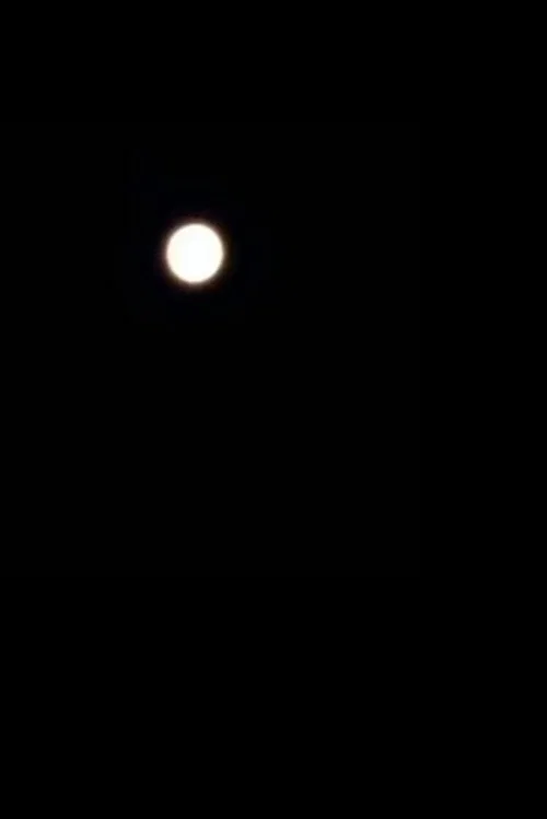 moooooon постер