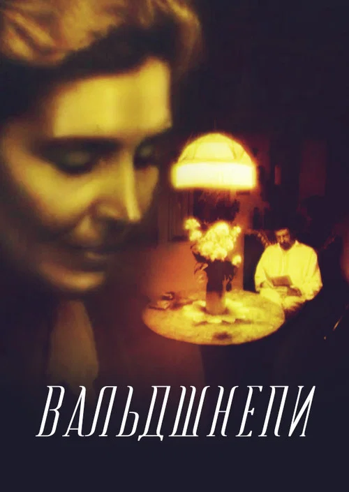 Вальдшнепы постер