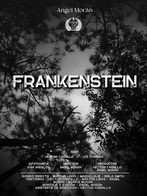Frankenstein постер