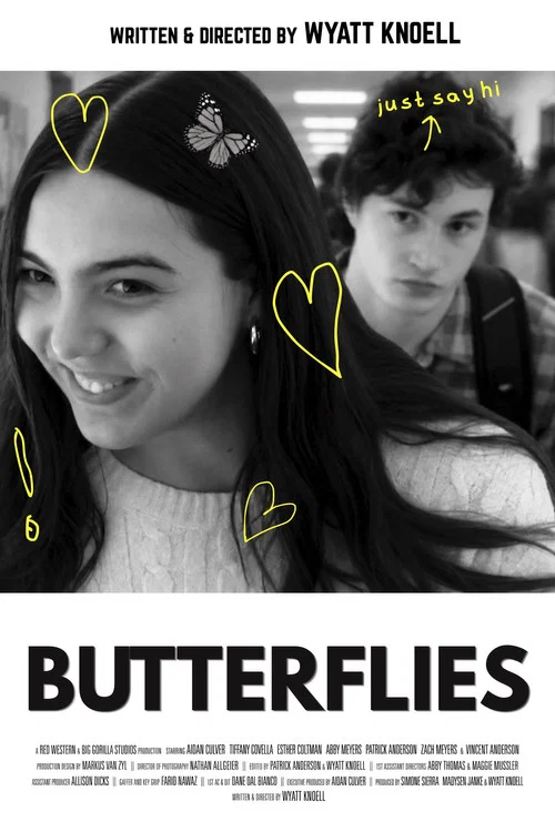 Butterflies постер
