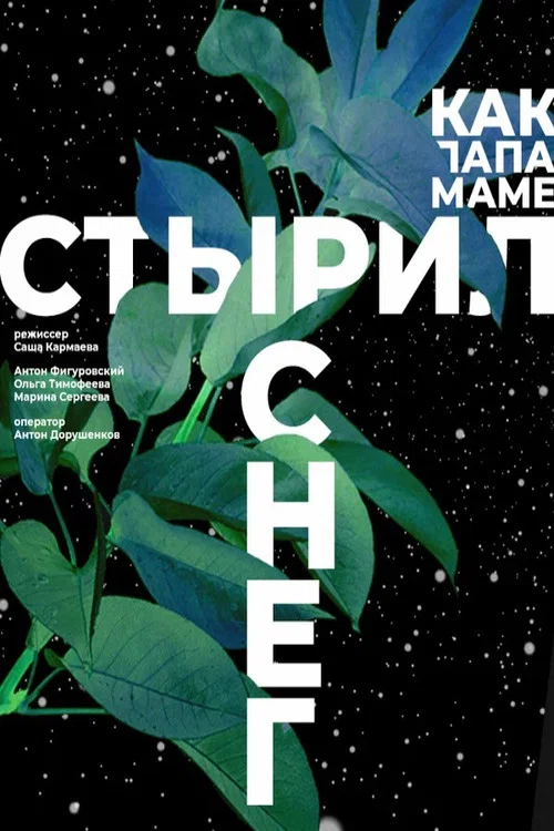 Как папа маме стырил снег постер