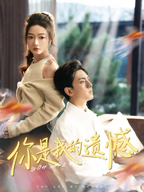 你是我的遗憾 постер