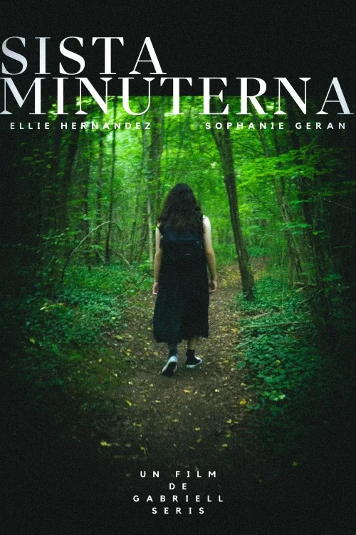 Sista Minuterna постер