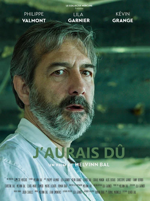 J'aurais dû постер