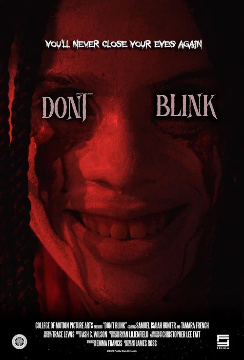 Don't Blink постер