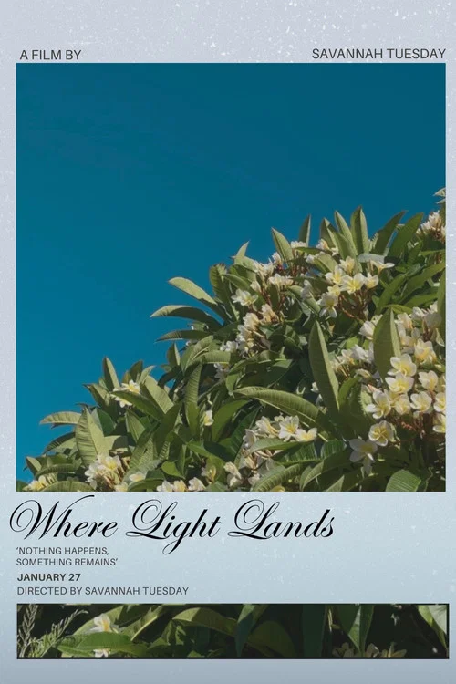 Where Light Lands постер