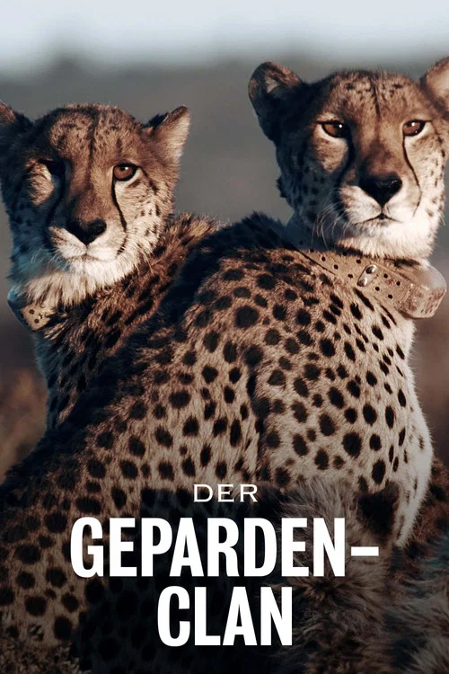 Der Geparden-Clan постер