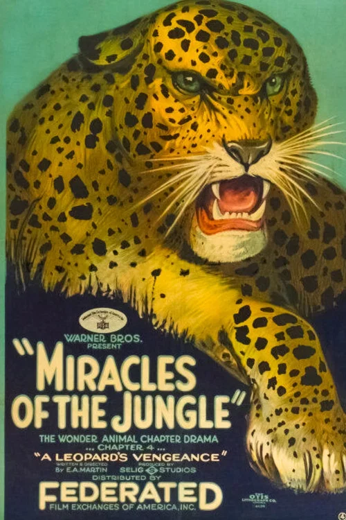 Miracles of the Jungle постер