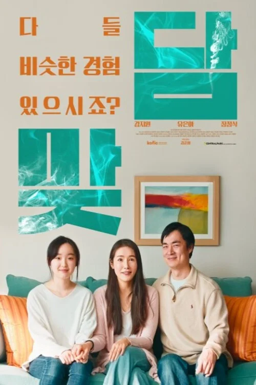 맞담 постер