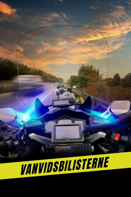 Vanvidsbilisterne постер