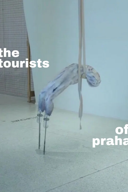 The Tourists of Praha постер