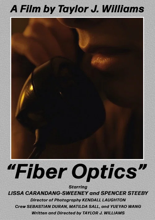 Fiber Optics постер