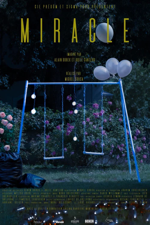 Miracle постер