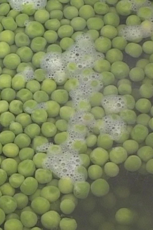 Peas постер
