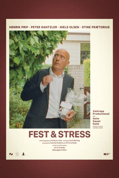 Fest & Stress постер