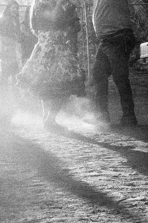 Festejos en el Parque O'Higgins постер